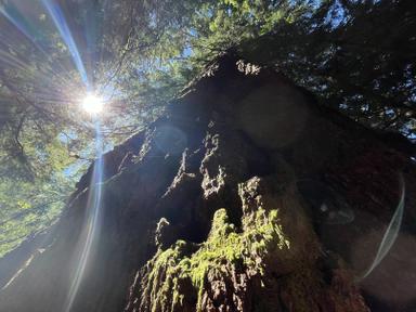 yosemite, photo project